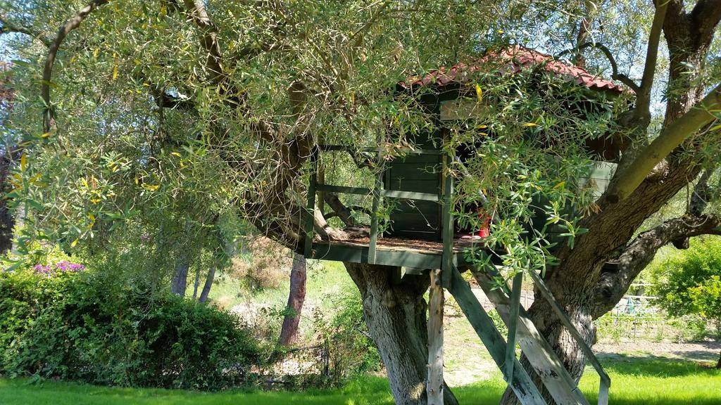 Apartmán Amparoudes Kriopigi Exteriér fotografie