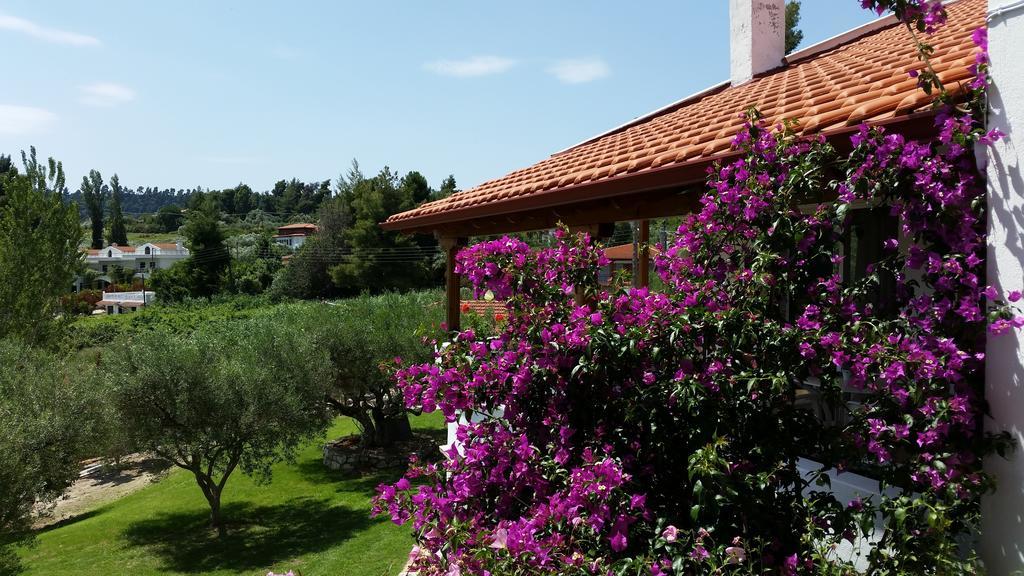 Apartmán Amparoudes Kriopigi Exteriér fotografie
